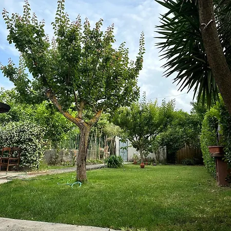 Apartment Francas